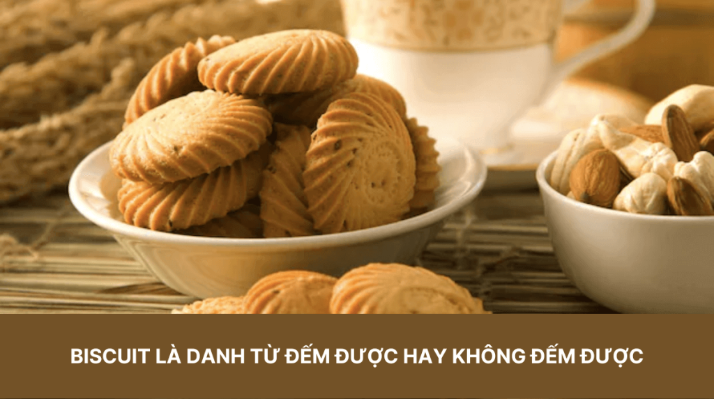 Chia sẻ Biscuit là danh từ đếm được hay không đếm được