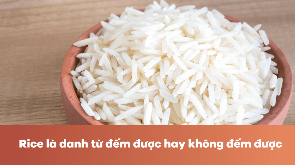 Rice là danh từ đếm được hay không đếm được