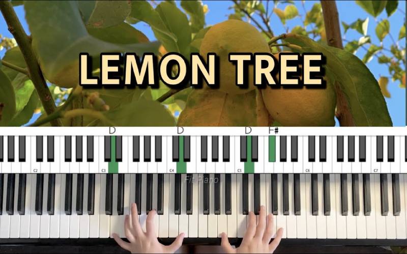 Cách học tiếng Anh qua bài hát Lemon tree