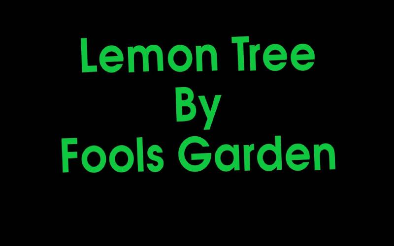Bài hát Lemon Tree