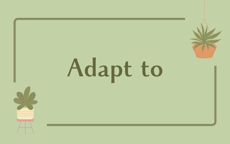 Adapt to
