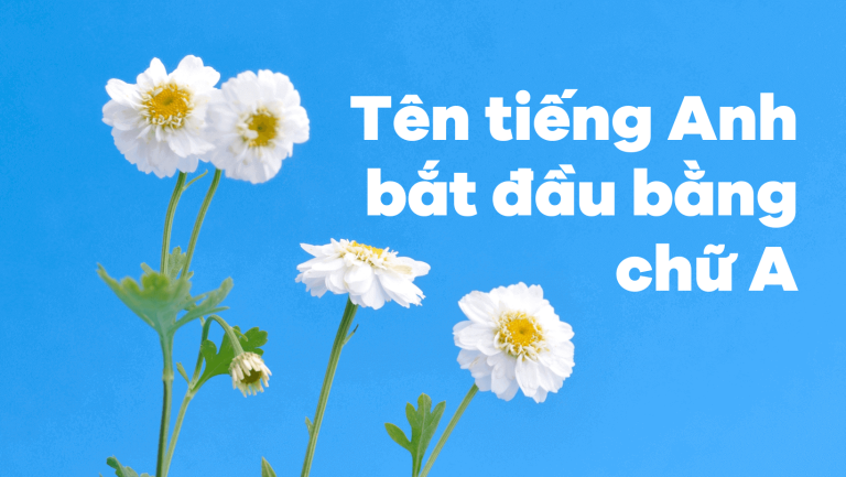 Tên tiếng Anh bắt đầu bằng chữ A