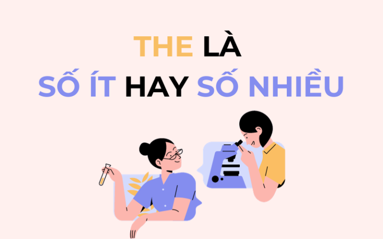 The là số ít hay số nhiều?