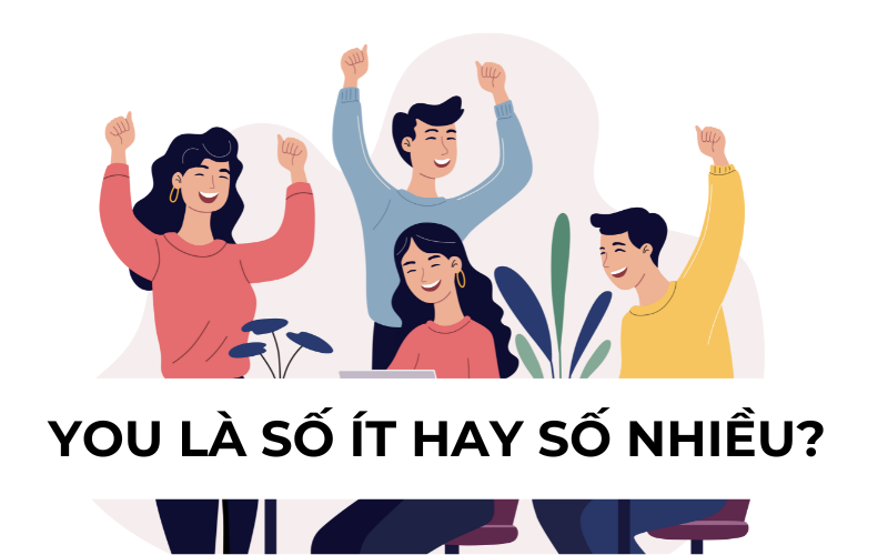 You là số ít hay số nhiều? 