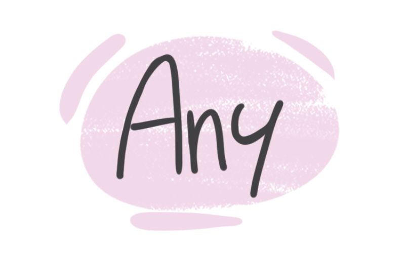 Any là gì?