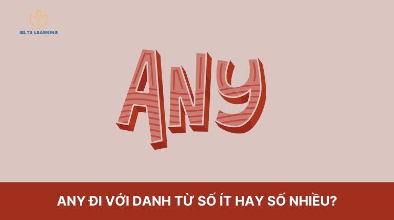Any đi với danh từ số ít hay số nhiều trong tiếng Anh?