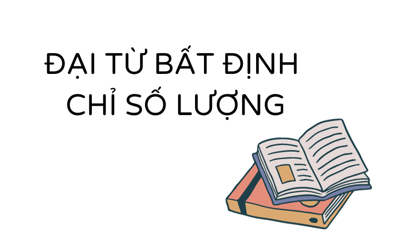 Những đại từ bất định chỉ số lượng