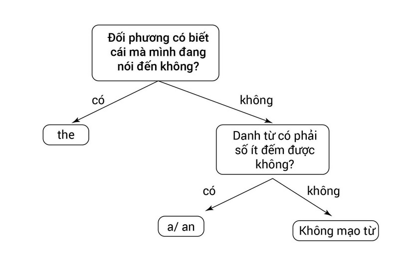 Biểu đồ cách dùng mạo từ
