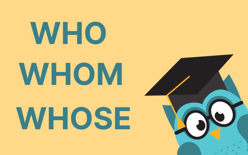 Phân biệt Who Whom Whose trong tiếng Anh