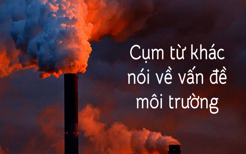 Một số cụm từ khác nói về vấn đề môi trường