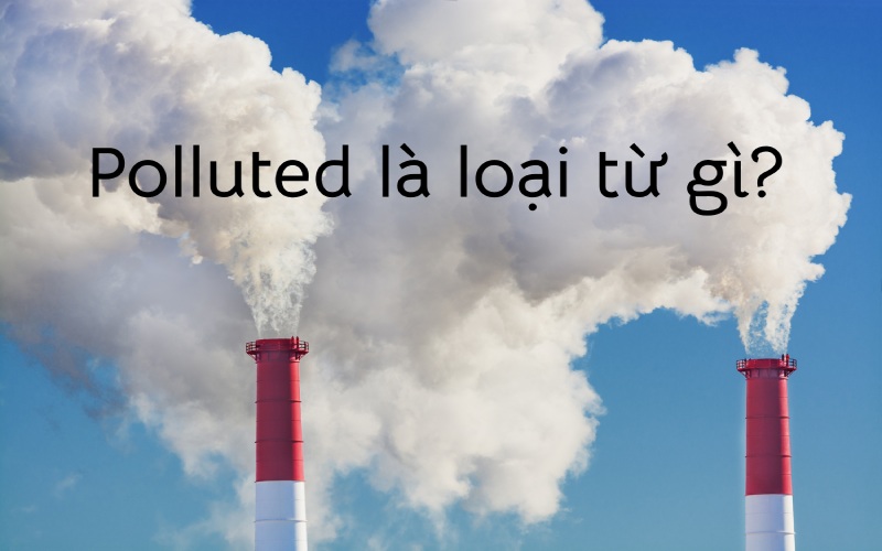 Polluted là loại từ gì?