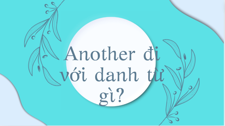 Another đi với danh từ