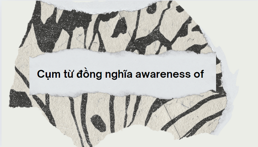 Cụm từ đồng nghĩa awareness of