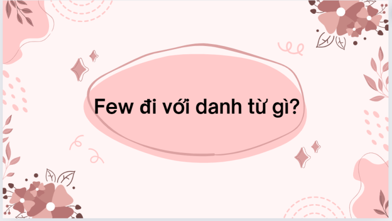 Few đi với danh từ