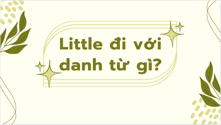 Little đi với danh từ