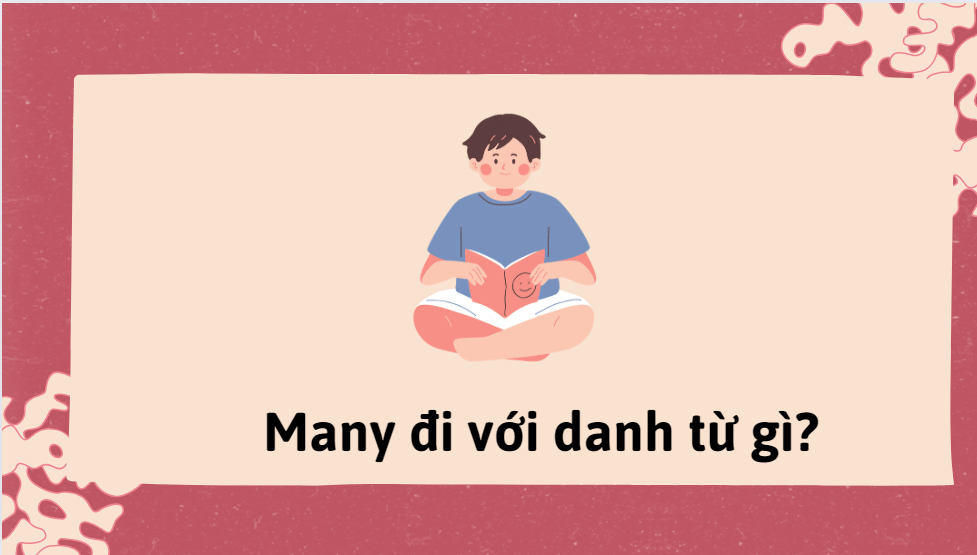 Many đi với danh từ nào
