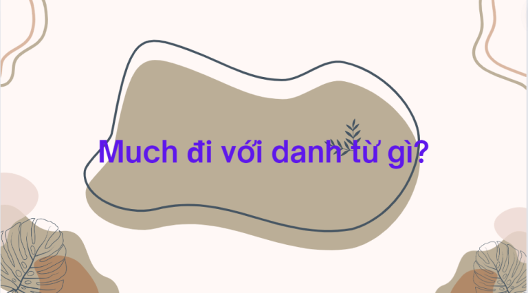 Much đi với danh từ