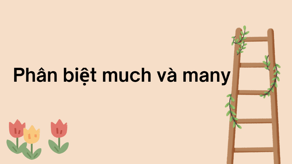 Phân biệt much và many