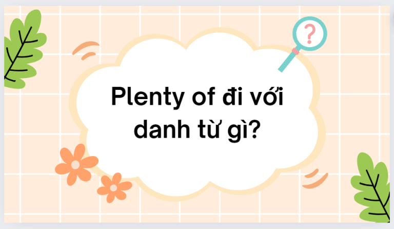 Plenty of đi với danh từ