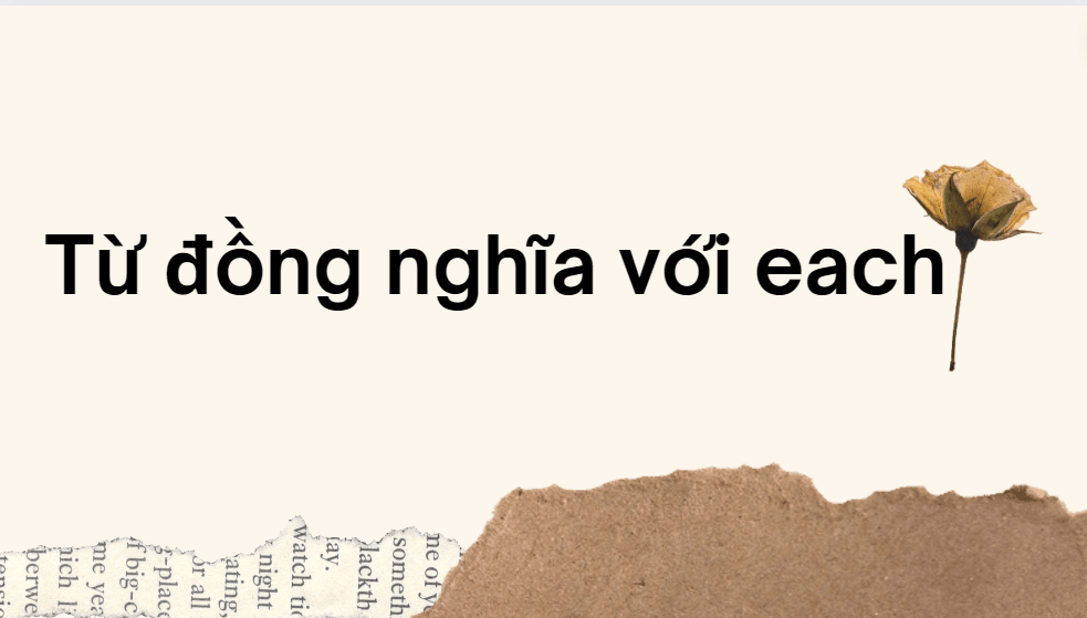 Từ đồng nghĩa với each