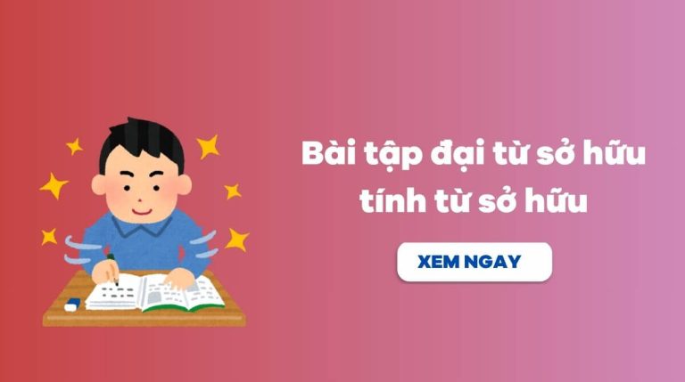 bài tập đại từ sở hữu tính từ sở hữu