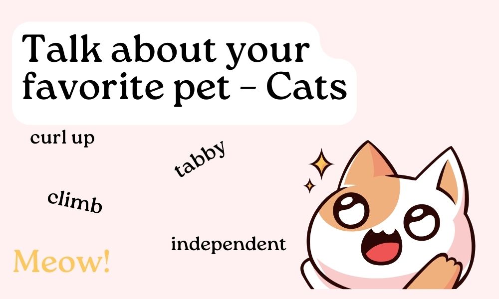 Bài mẫu 2 – Talk about your favorite pet – Cats