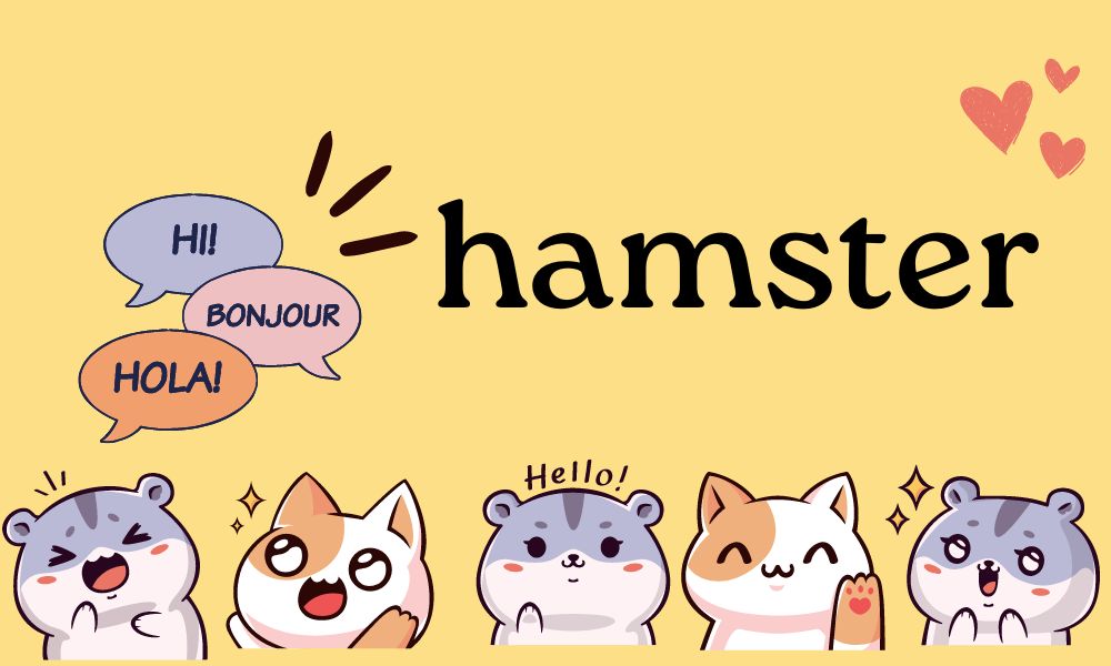 Bài mẫu 4 – Talk about your favorite pet – hamster