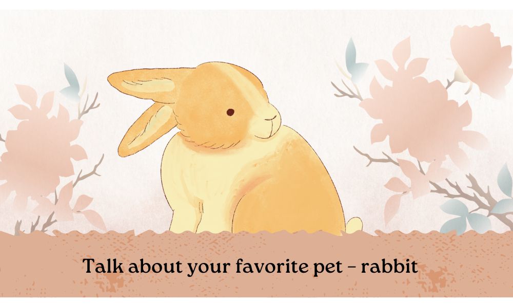 Bài mẫu 5 – Talk about your favorite pet – rabbit