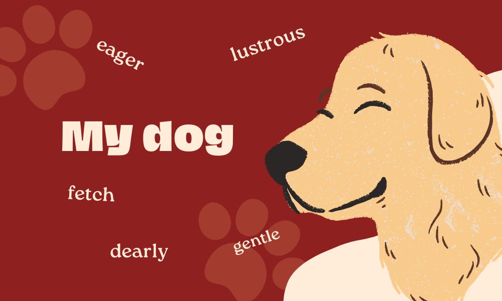 Talk about your favorite pet – Dogs