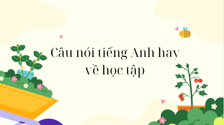 199+ câu nói tiếng Anh hay về học tập hay nhất